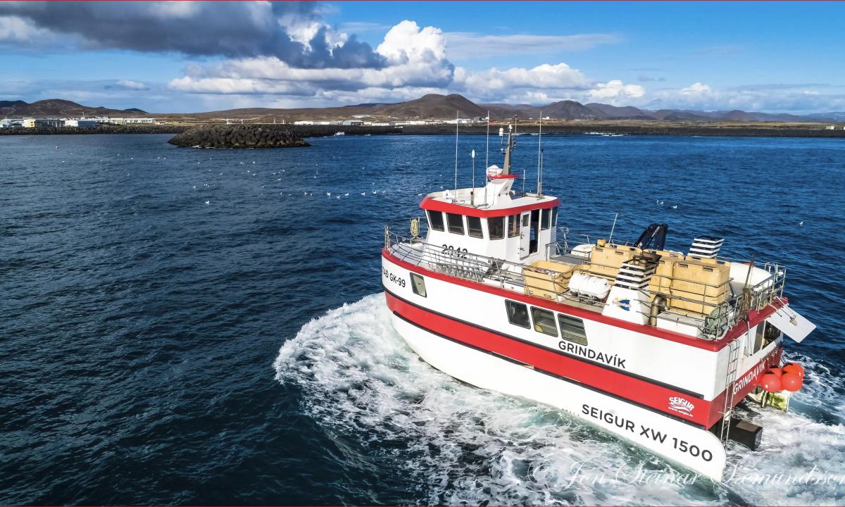 Key Account Management in Fresh Seafood The Commercial Agency, Stratopolis